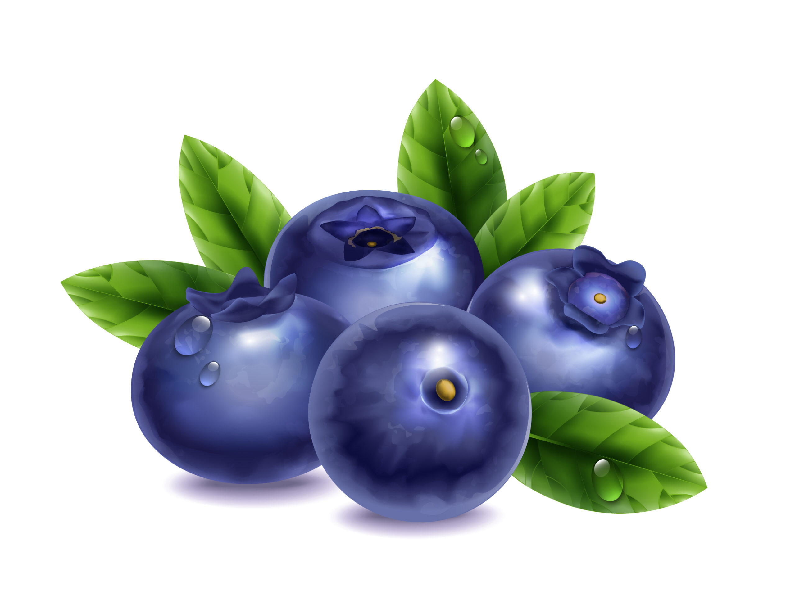 Is There A Blueberry Shortage? Shortage Alerts