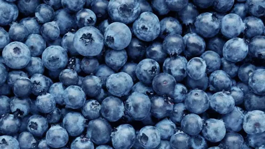 Is There A Blueberry Shortage? Shortage Alerts